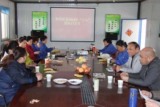 華能電力工程部項目部組織召開女工座談會