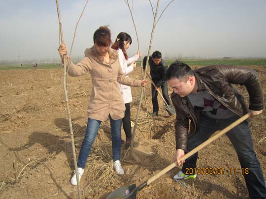 積極行動(dòng)植樹造林