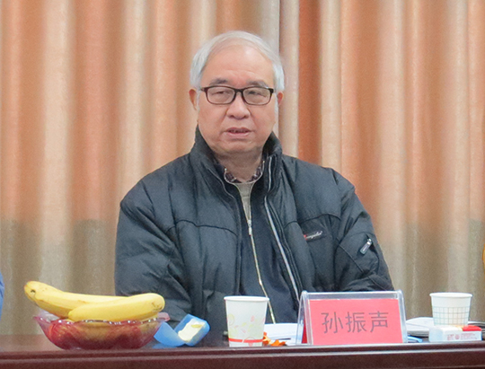 孫振聲會(huì)長(zhǎng)作總結(jié)點(diǎn)評(píng)